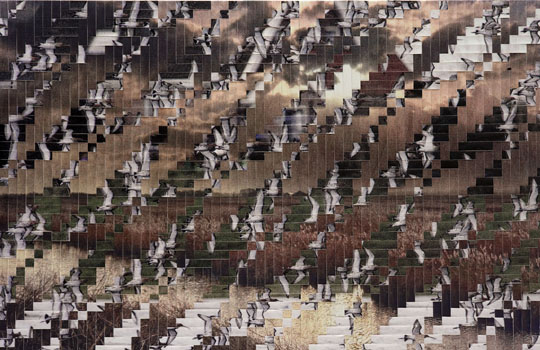 Hollands landschap 14, geprint/gevlochten canvas, 131 x 203 cm.